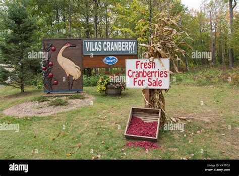 For more info please email or call. . Cranberry farm for sale wisconsin